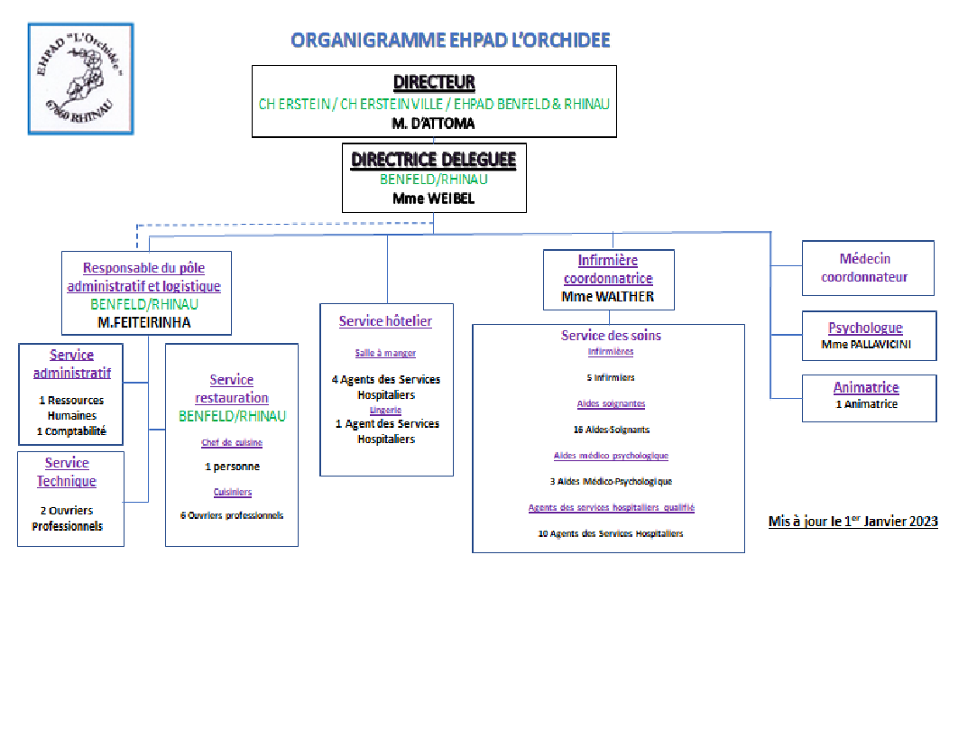 Organigramme
